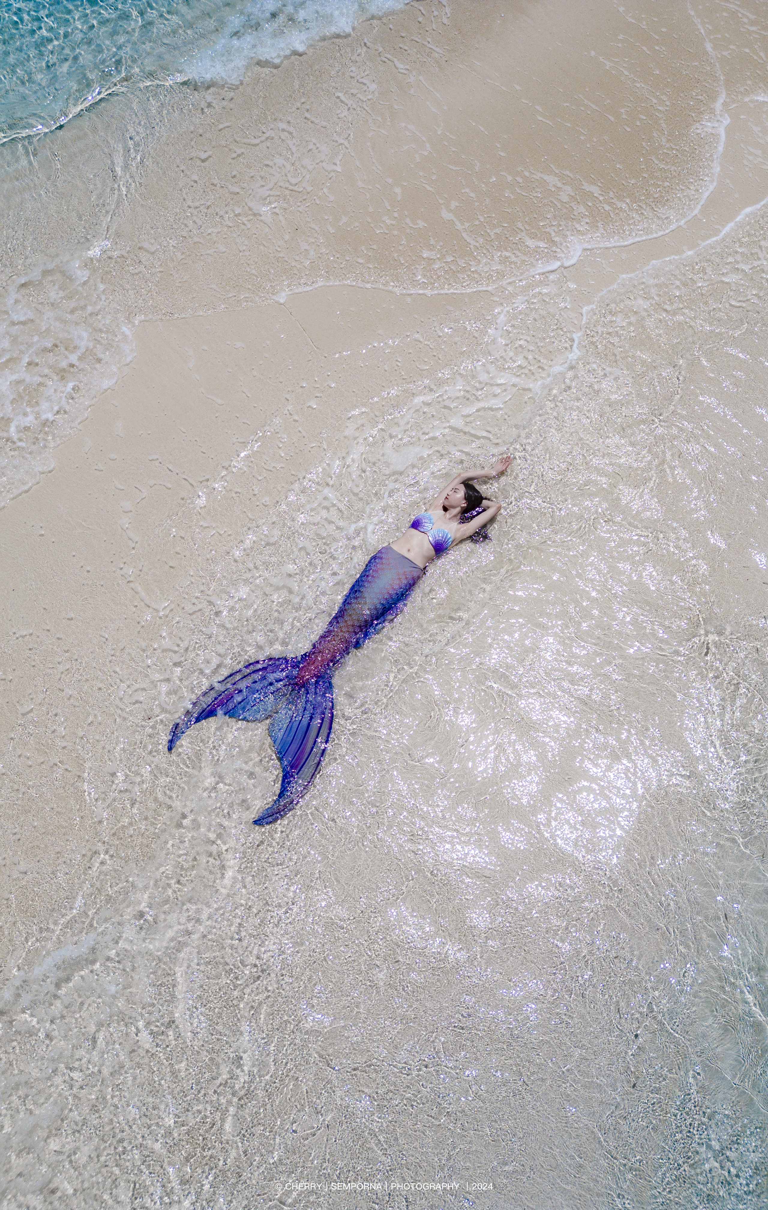 Mermaid Diving cover photo
